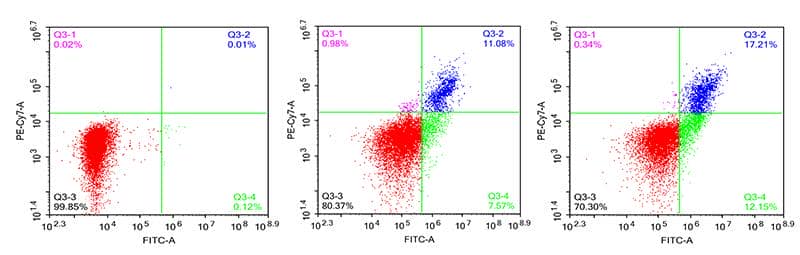 細(xì)胞凋亡檢測服務(wù)