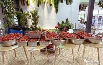 快樂工作，開心生活——普健生物第三屆龍蝦節(jié)圓滿結(jié)束