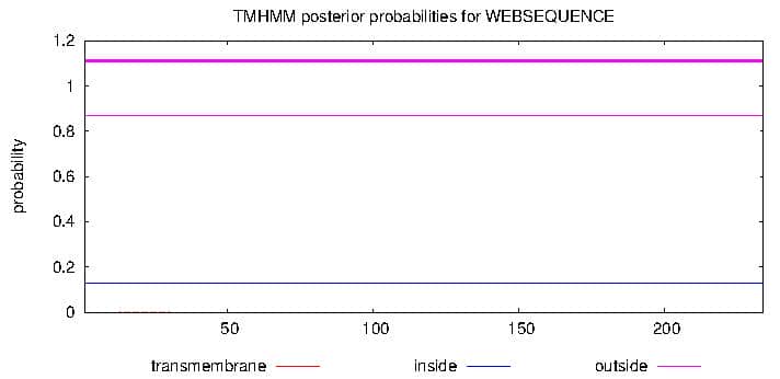 原核表達系統(tǒng)