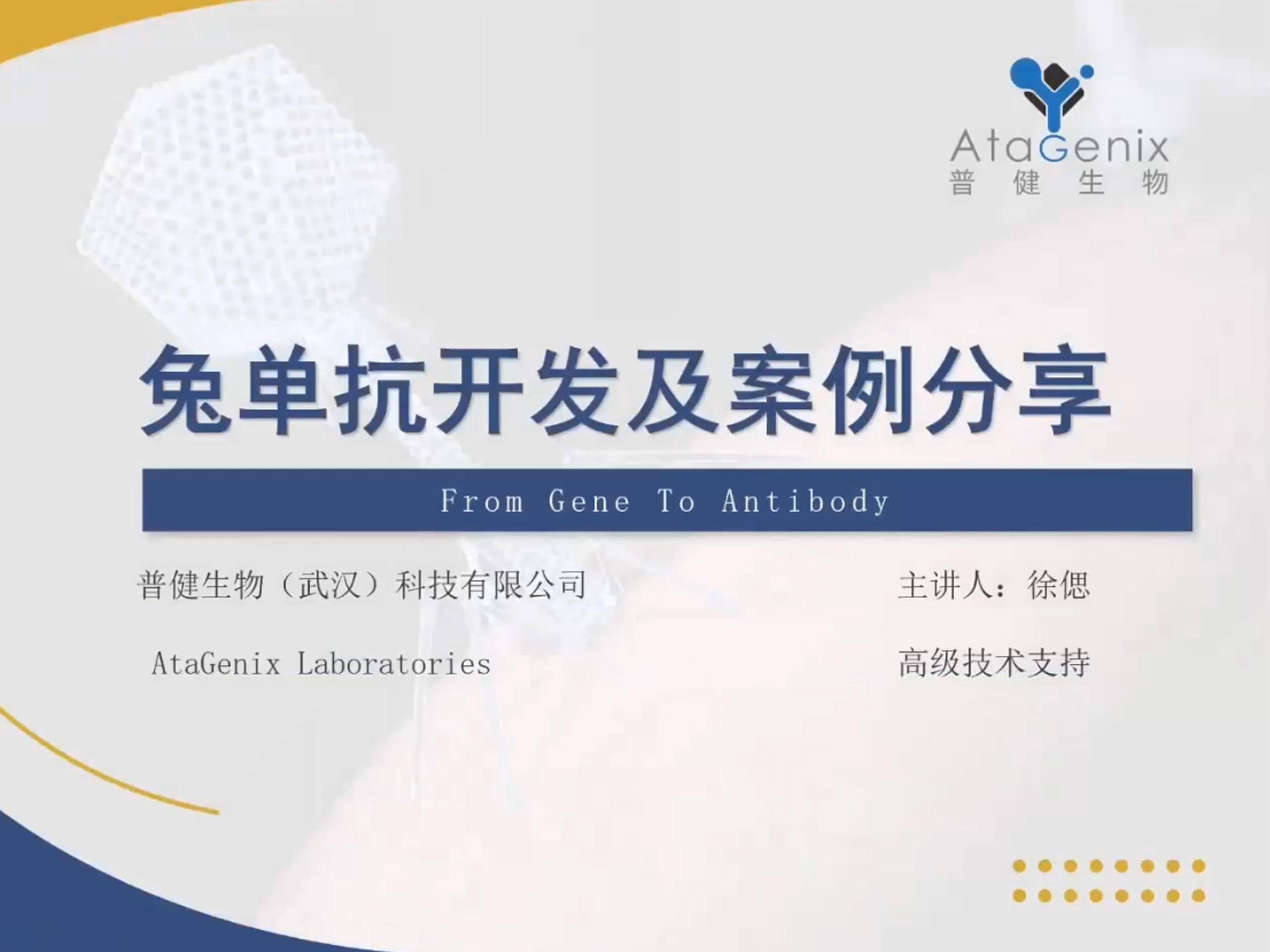 兔單抗開(kāi)發(fā)及案例分享