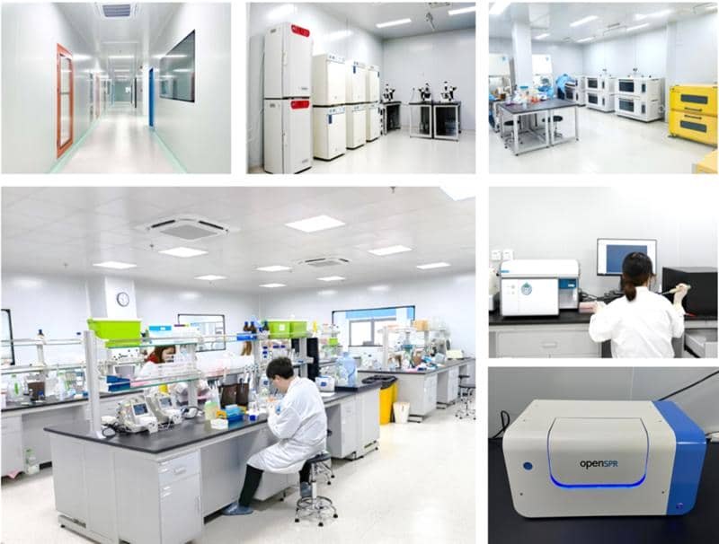 武漢國家生物產(chǎn)業(yè)基地公共服務(wù)平臺—光谷抗體發(fā)現(xiàn)與篩選公共服務(wù)平臺