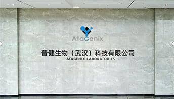 武漢國家生物產(chǎn)業(yè)基地公共服務(wù)平臺—光谷抗體發(fā)現(xiàn)與篩選公共服務(wù)平臺