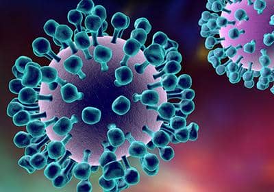 蛋白提取分離過(guò)程中的細(xì)胞破碎的詳細(xì)步驟