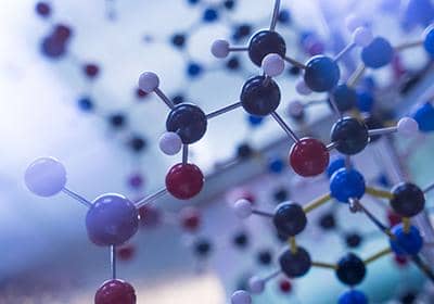 盤點(diǎn)納米抗體的幾種結(jié)構(gòu)形式及其應(yīng)用領(lǐng)域