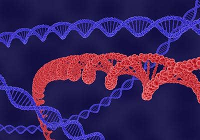 普健生物-盤點(diǎn)提升蛋白表達(dá)成功率的幾個(gè)方法