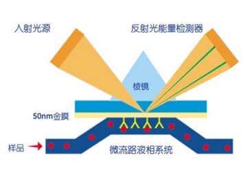 SPR親和力檢測(cè)