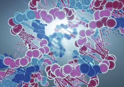 我們常說的人源化小鼠是什么?它的作用機(jī)制是怎樣的?