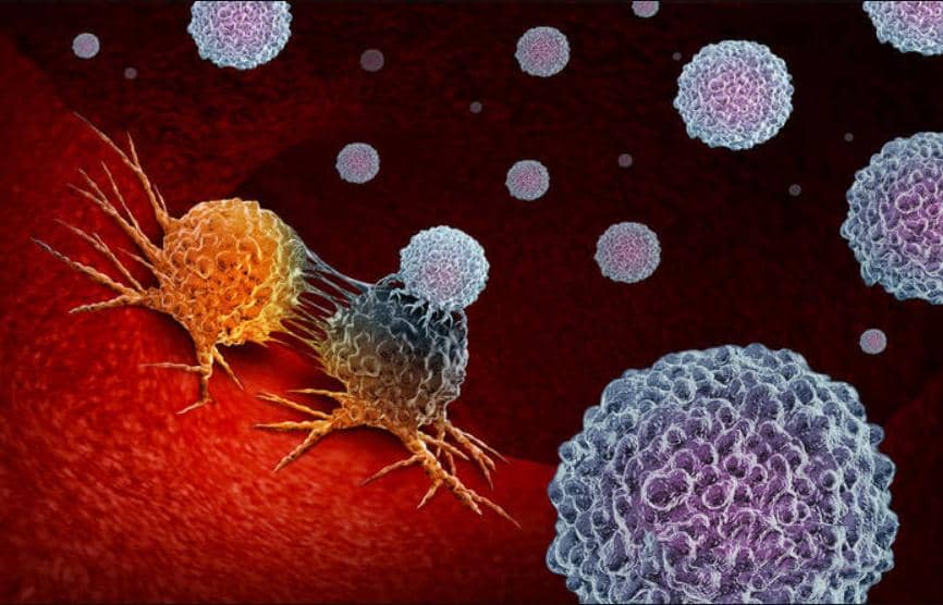 Nature綜述：從腫瘤基質(zhì)暢談抗癌靶向新療法