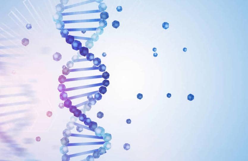 有產(chǎn)品|工具酶哪家好？用過才知道