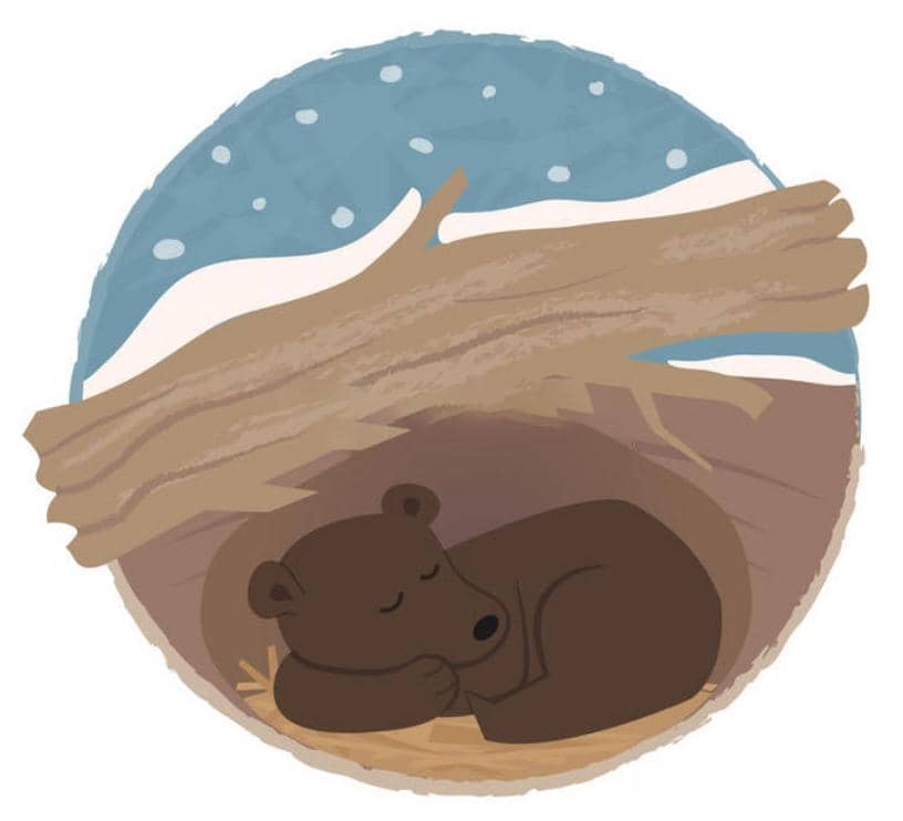 Cell▏來自冬眠的冷適應(yīng)啟示