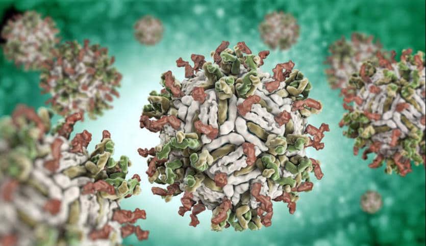 特色產(chǎn)品集錦|6大板塊，樣樣經(jīng)典