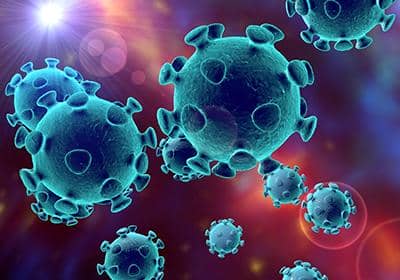 為什么說抗體藥物研發(fā)成功的關(guān)鍵是雜交瘤細(xì)胞?