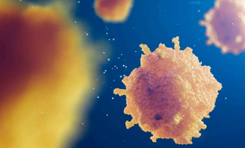 【高分文獻(xiàn)解讀第一期】CD24說：“Don't eat me！” 腫瘤免疫治療該怎么辦？