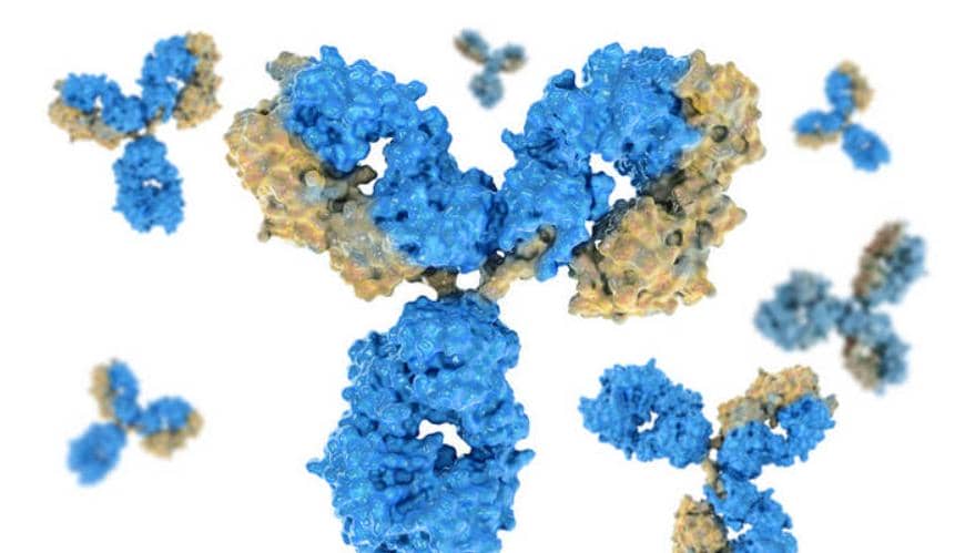 雙特異抗體最全設(shè)計(jì)方案匯總