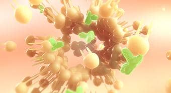 什么是酵母表達(dá)系統(tǒng)?用它表達(dá)蛋白的優(yōu)勢(shì)和不足?