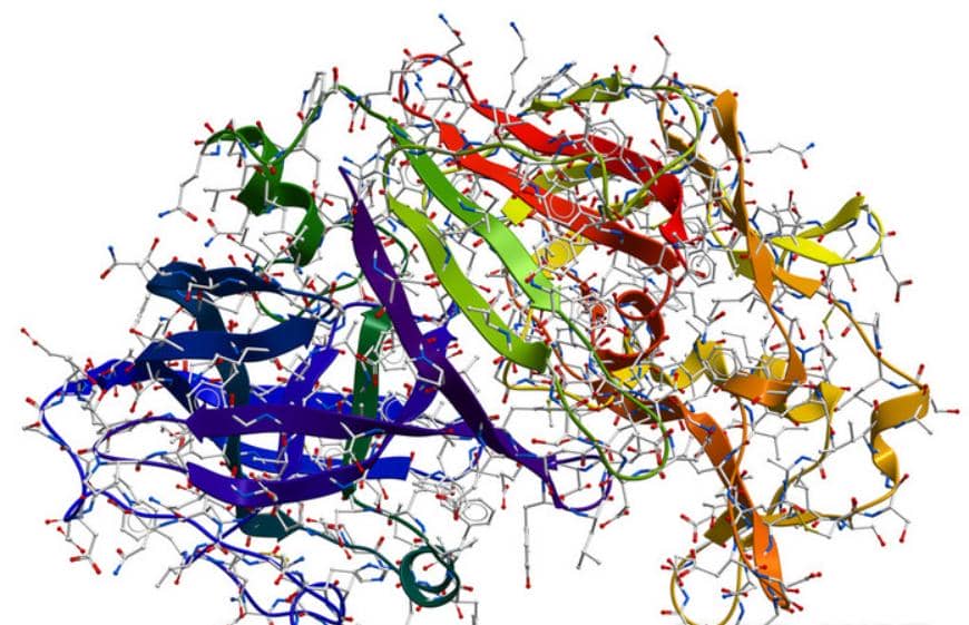 蛋白純不純？選對方法很重要