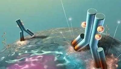 為什么納米抗體在醫(yī)藥制備行業(yè)中使用越來越廣泛?