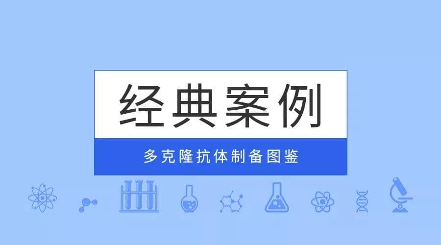 經典案例|普健生物多克隆抗體制備