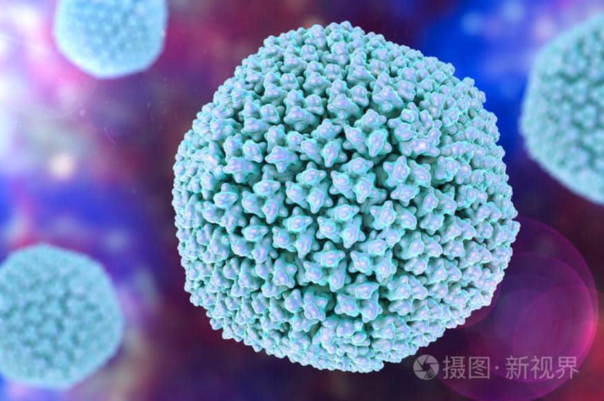 總被要求去內毒，究竟是為什么？