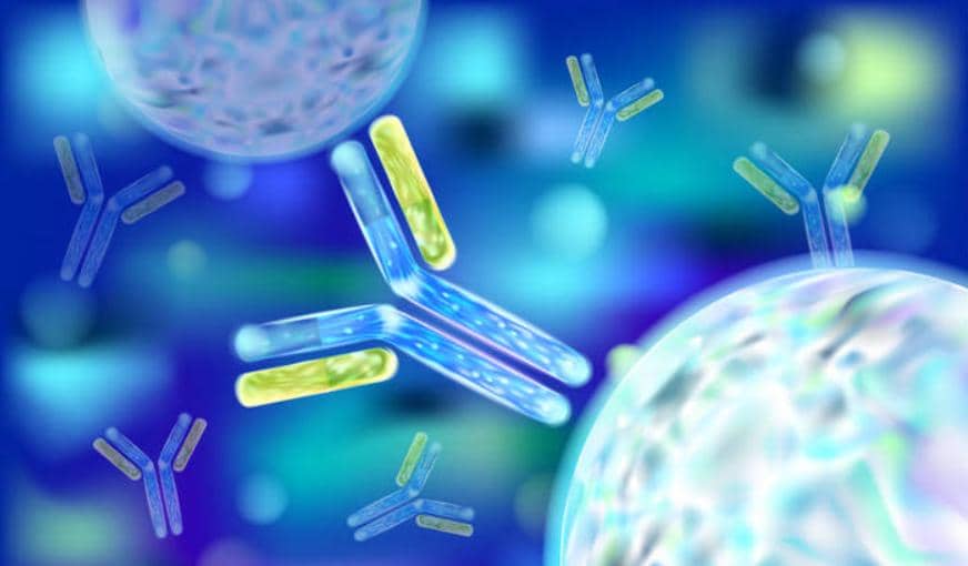 一個完整的抗體發(fā)現(xiàn)平臺需要用到哪些技術？