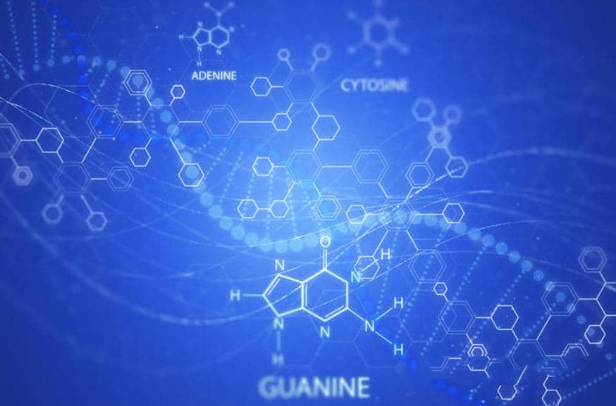 喜訊：2022年武漢國家生物產(chǎn)業(yè)基地公共服務(wù)平臺復(fù)核通過