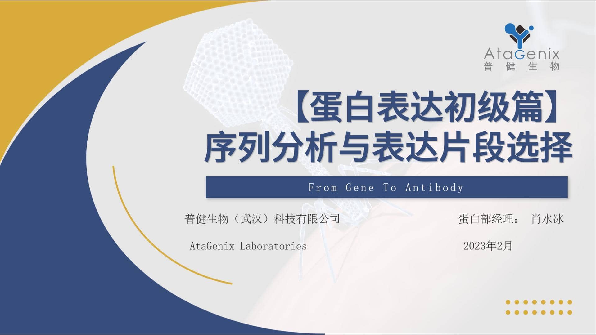 【蛋白表達(dá)初級(jí)篇】序列分析與表達(dá)片段選擇