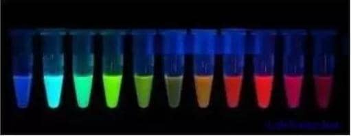 別問蛋白有多少，掌握定量方法再來說