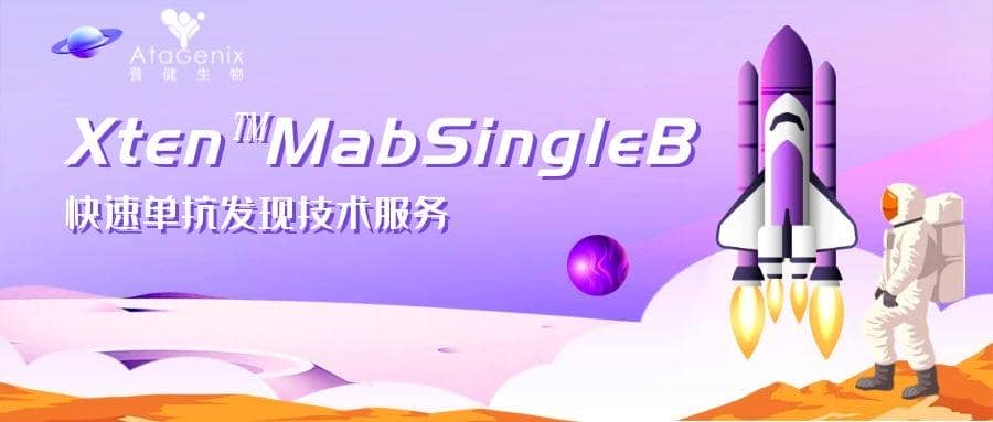 新一代兔單克隆抗體開發(fā)技術(shù)優(yōu)勢及開發(fā)平臺選擇