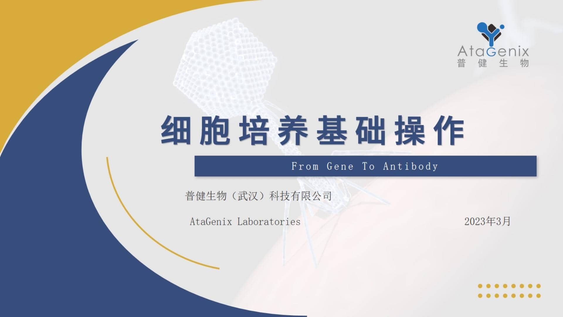 基礎(chǔ)試驗(yàn)操作篇——細(xì)胞培養(yǎng)