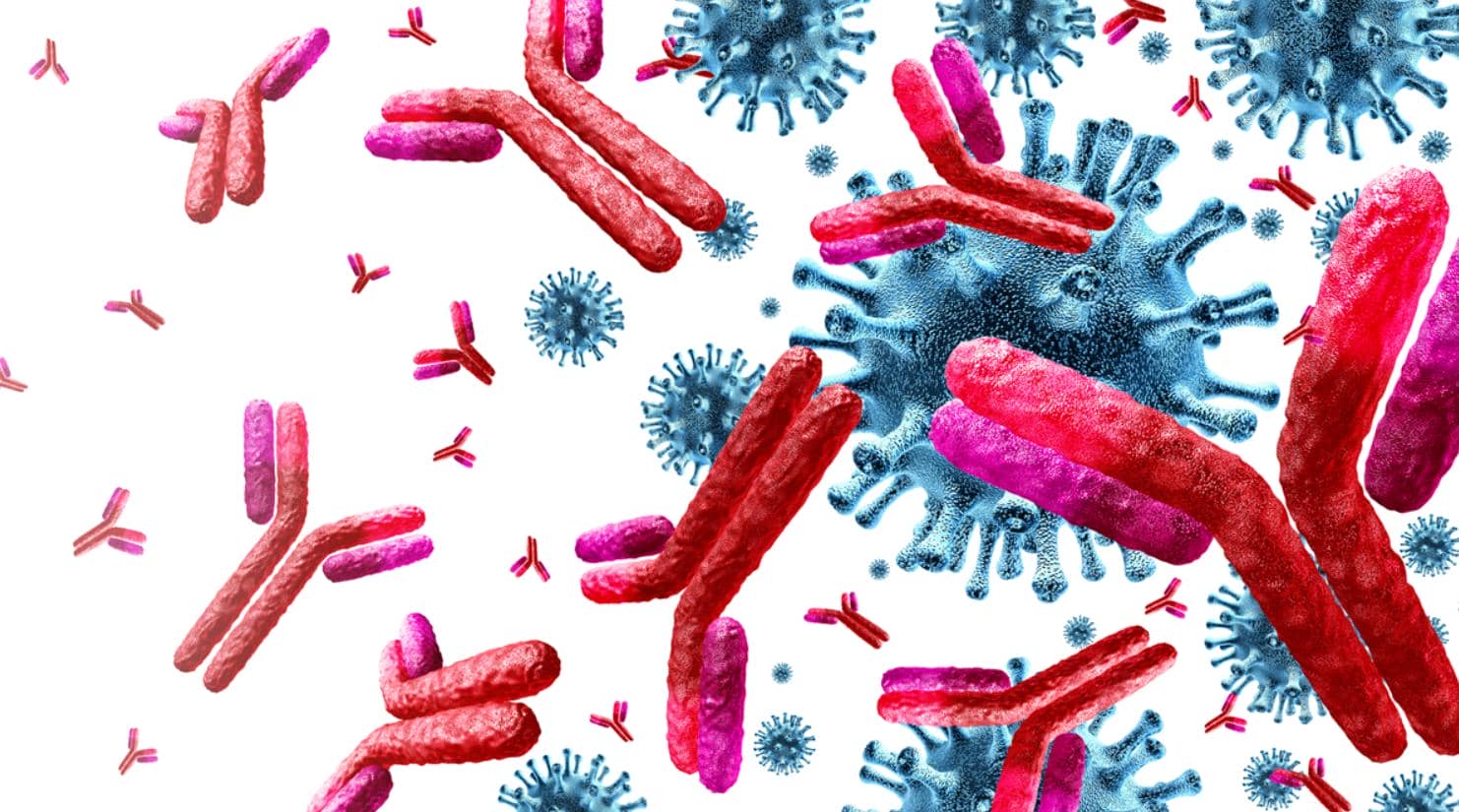 抗體多樣性形成機(jī)制及重組抗體表達(dá)技術(shù)