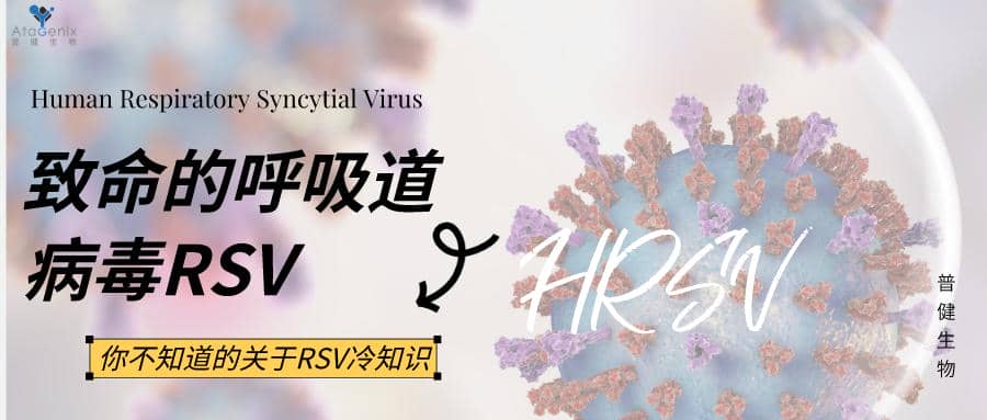 數(shù)十年研發(fā)幾經(jīng)折戟，首款成熟的RSV疫苗要來了嗎？
