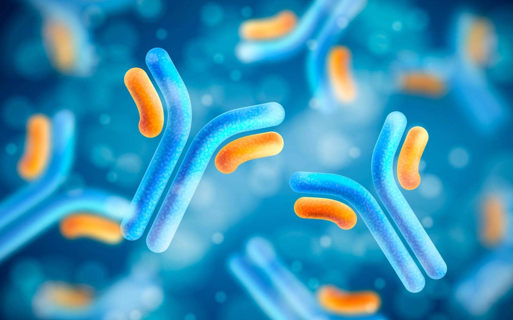 從雜交瘤技術(shù)到單B細(xì)胞技術(shù)：?jiǎn)慰寺】贵w技術(shù)發(fā)展史