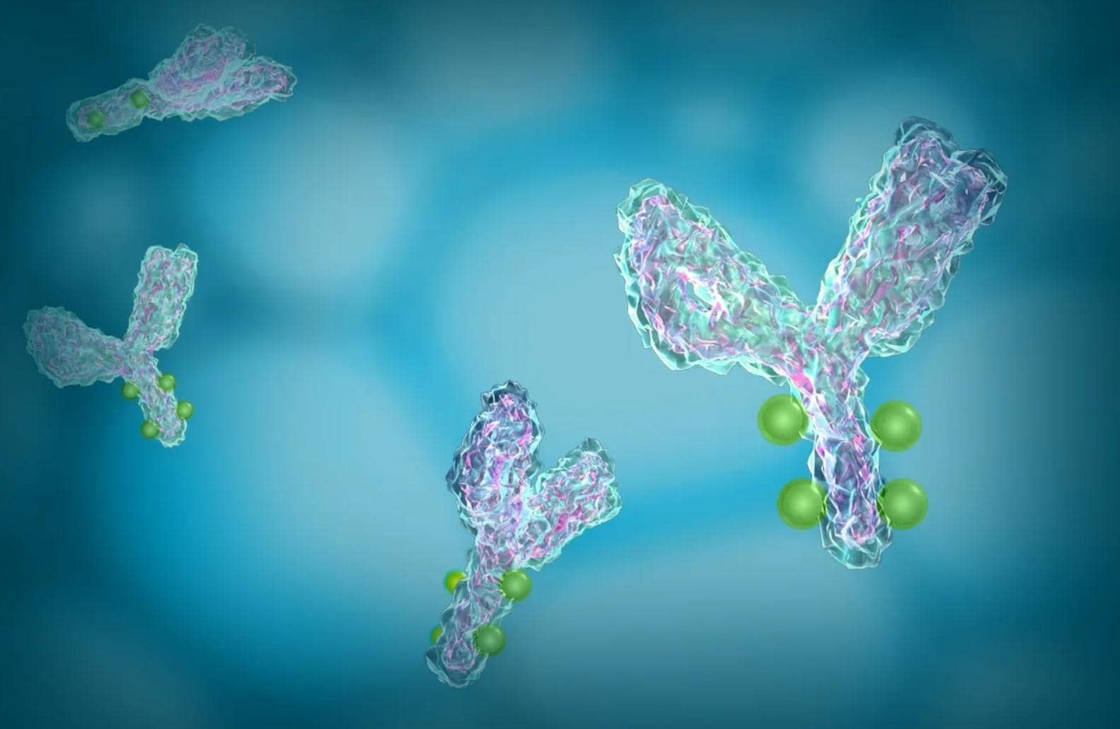 針對(duì)特定病原體的防御機(jī)制重組抗體的一般策略（二）