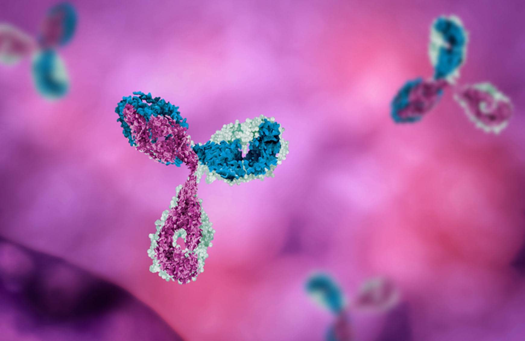 Tfh細胞中Trim37泛素化調(diào)控Bcl6功能和影響抗體形成的新機制