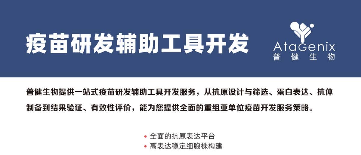 疫苗研發(fā)輔助工具開發(fā)