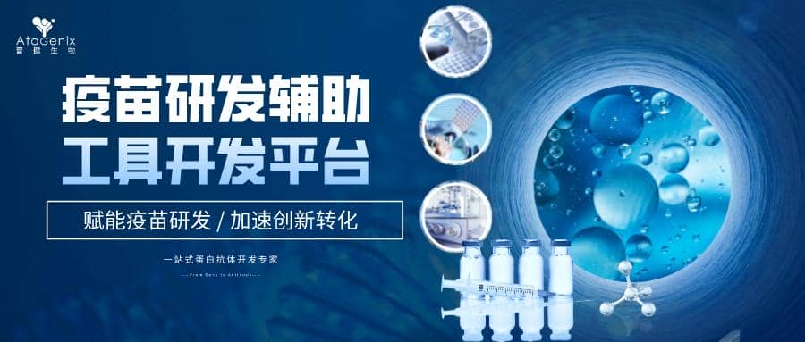 疫苗研發(fā)輔助工具開(kāi)發(fā)平臺(tái)助您撬開(kāi)千億藍(lán)海