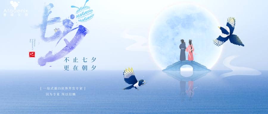 科研人CP指南|誰是你的科研搭子？？