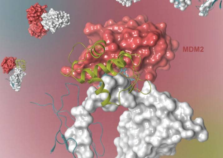 納米抗體（Nbs）在CAR-T細(xì)胞療法中的應(yīng)用