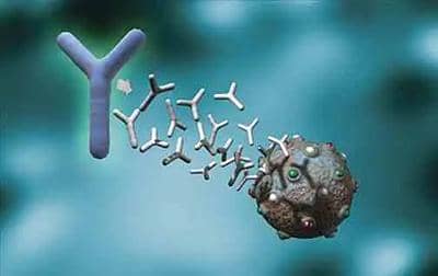 盤點(diǎn)重組抗體的幾種形式