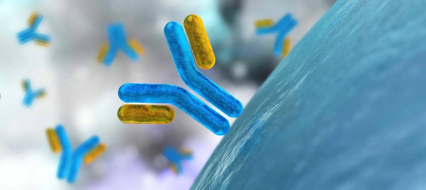 納米抗體在小分子化合物檢測(cè)的應(yīng)用