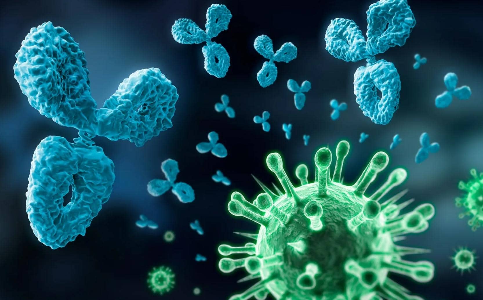 納米抗體在腫瘤、病毒感染、抗生素、解毒劑的臨床應用