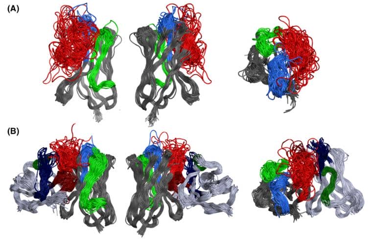 納米抗體如何實現(xiàn)如此高的特異性？