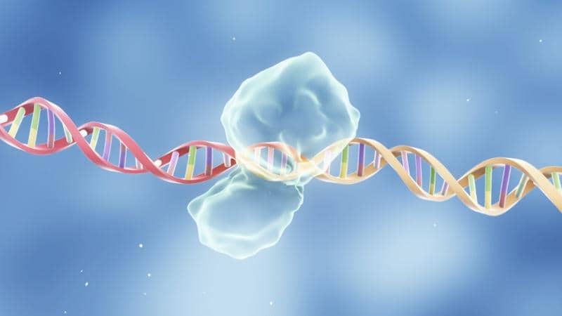 重組蛋白質(zhì)在大腸桿菌體系中的可溶性表達策略