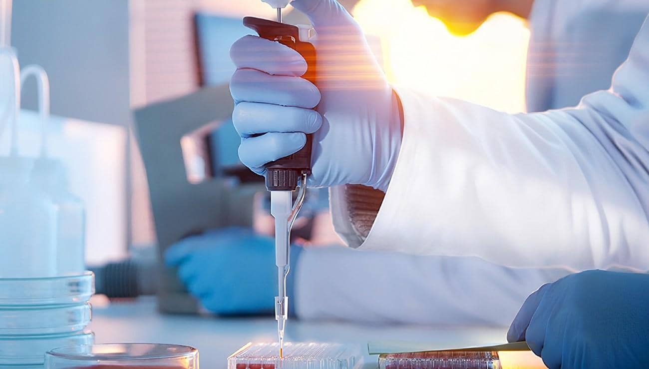 利用病原學技術(shù)快速鑒定非洲豬瘟病毒