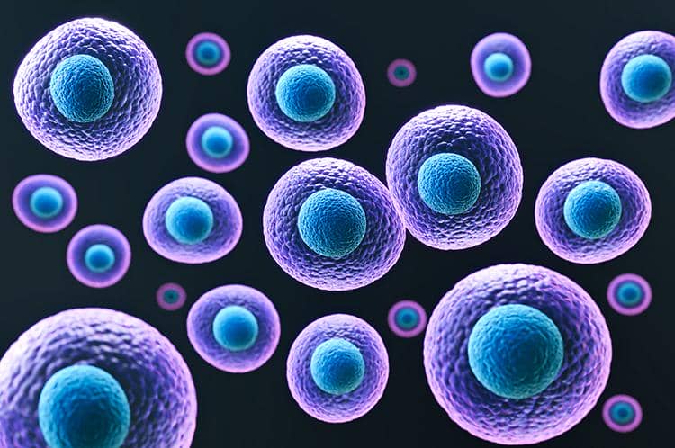 穩(wěn)定細(xì)胞株構(gòu)建過程中的一些常見問題盤點