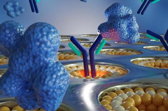 雜交瘤、噬菌體以及單B細(xì)胞技術(shù)該選擇哪個?