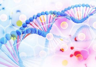 融合蛋白表達(dá)