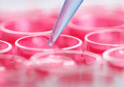 細(xì)胞培養(yǎng)時要如何搭配合適的生長條件?