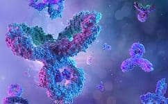 盤點(diǎn)抗體制備的三個(gè)核心步驟