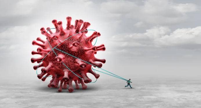 鑒定豬流行性腹瀉病毒重組蛋白免疫原性的實(shí)驗(yàn)操作流程